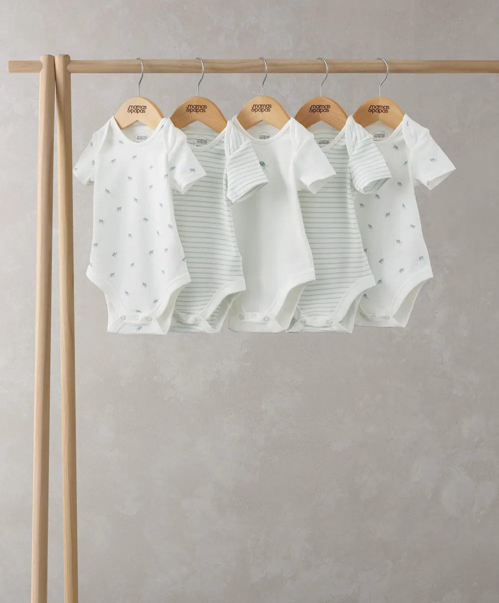 Turtle Shortsleeved Bodysuits (Set of 5)