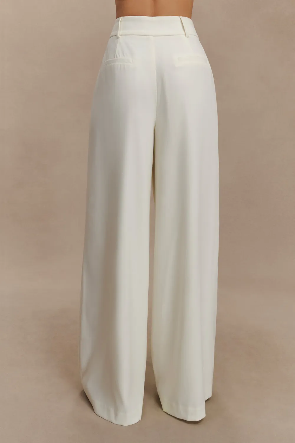 Pleated Wide Leg Pants