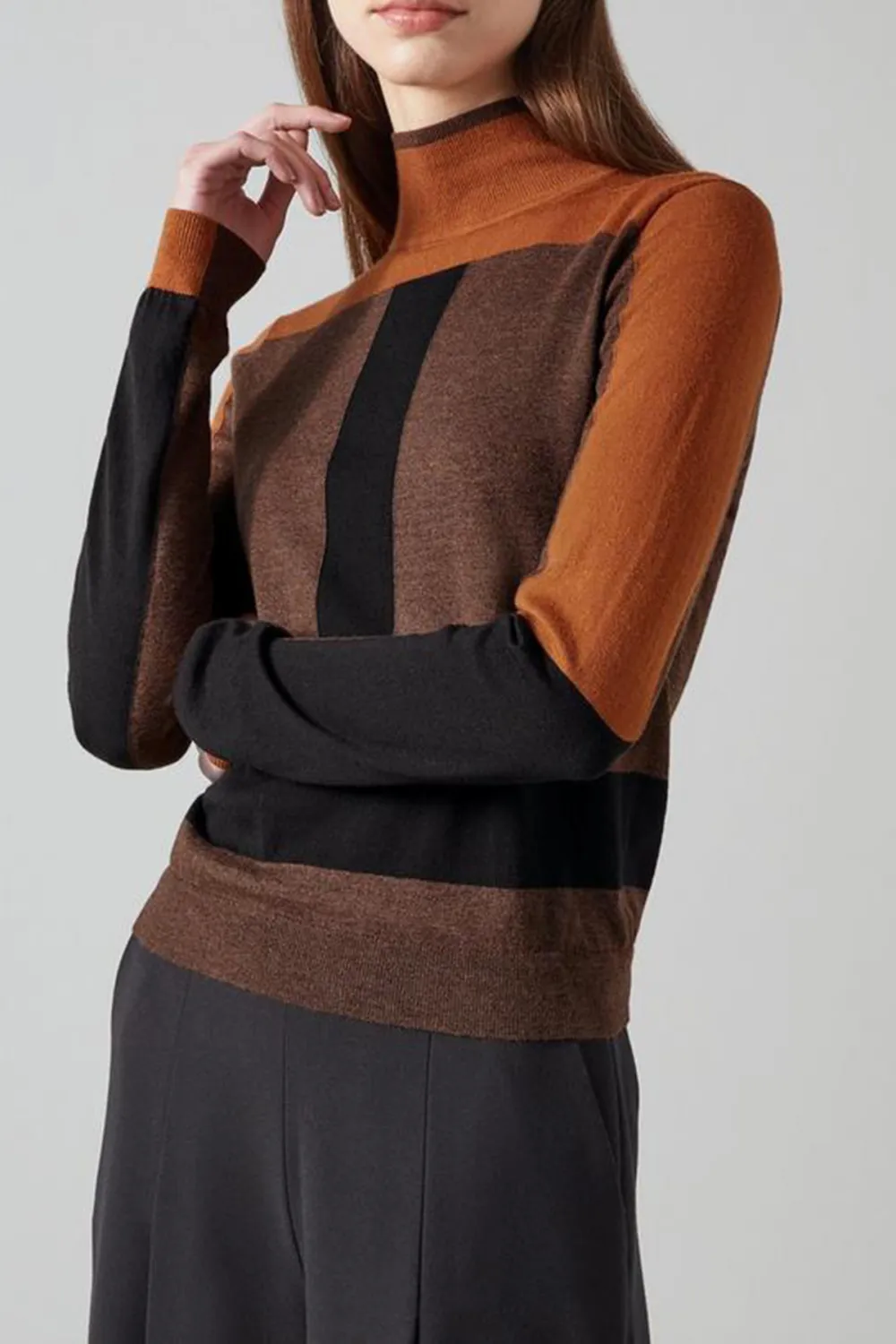 Brown Toned Color Blocked Turtleneck Knit Top