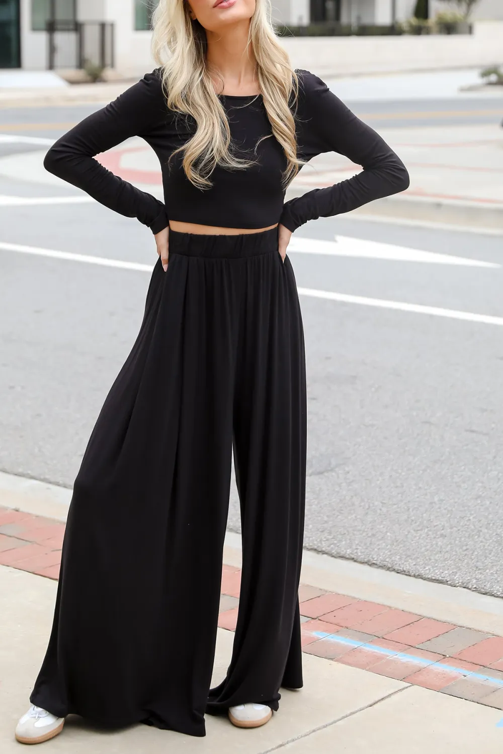 Sophisticated Step Black Pleated Wide Leg Pants