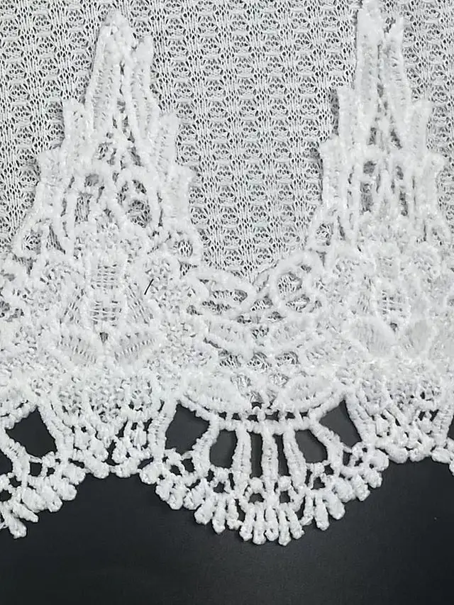 Women's Tank Top White Blue Plain Lace Sleeveless Casual Basic V Neck Regular S