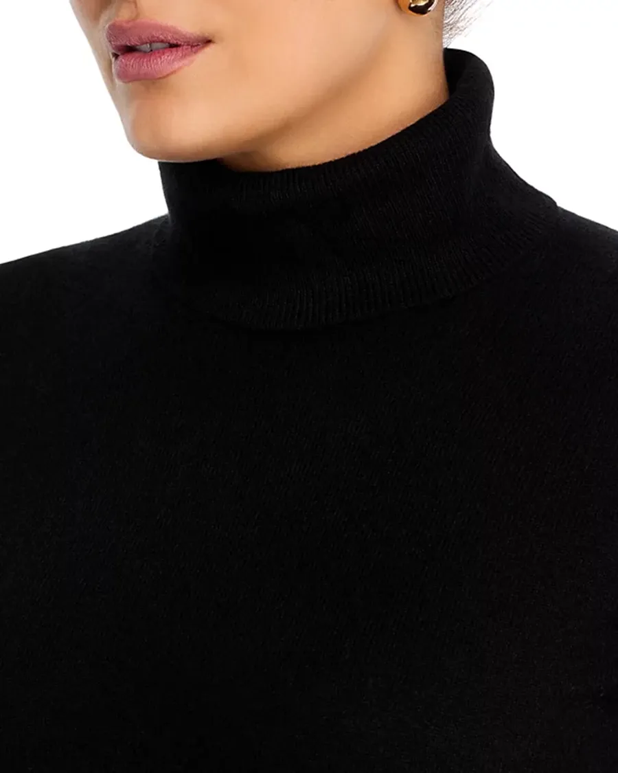 Long Sleeves Cashmere Turtleneck Sweater