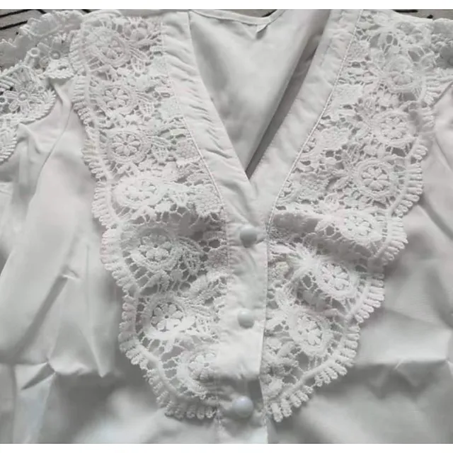 Women's Lace Shirt Shirt Blouse White Eyelet Tops Floral Graphic Butterfly Work Casual White Lace Button Cut Out Long Sleeve Elegant Vintage Fashion V Neck Spring Fall