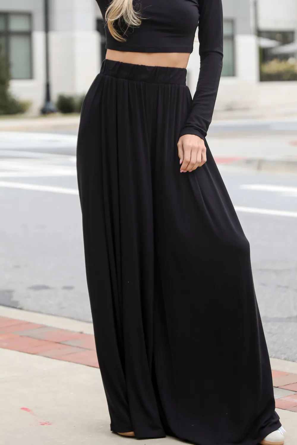 Sophisticated Step Black Pleated Wide Leg Pants