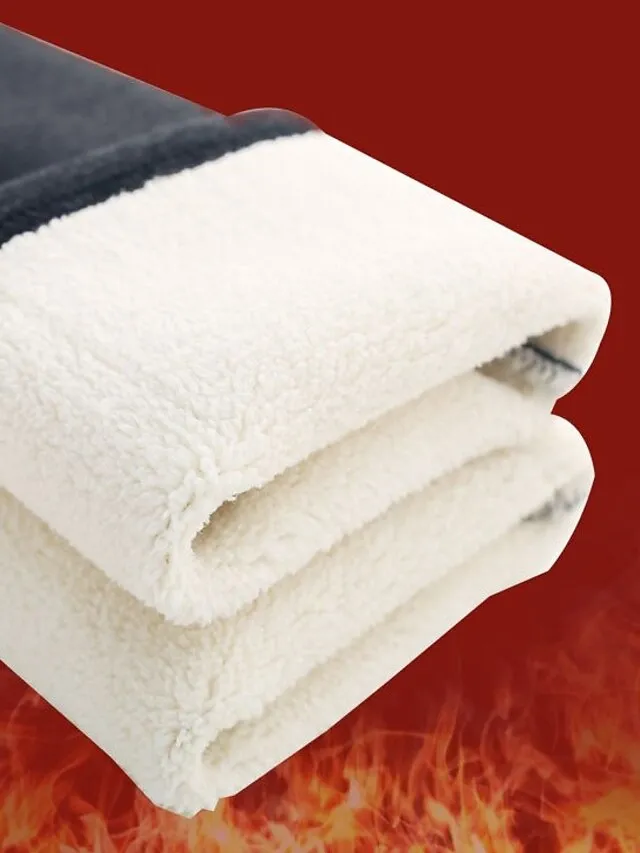 Women‘s Fleece Lineds Leggings Warm Micro-elastic High Waist Basic Casual Daily Black Gray S M Fall & Winter