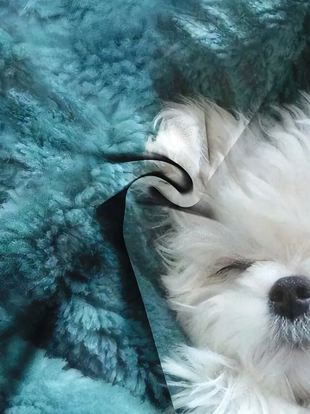 Women's Sweatshirt Pullover Spring 3D Print Basic Blue Dog Street Round Neck Plus Size Long Sleeve