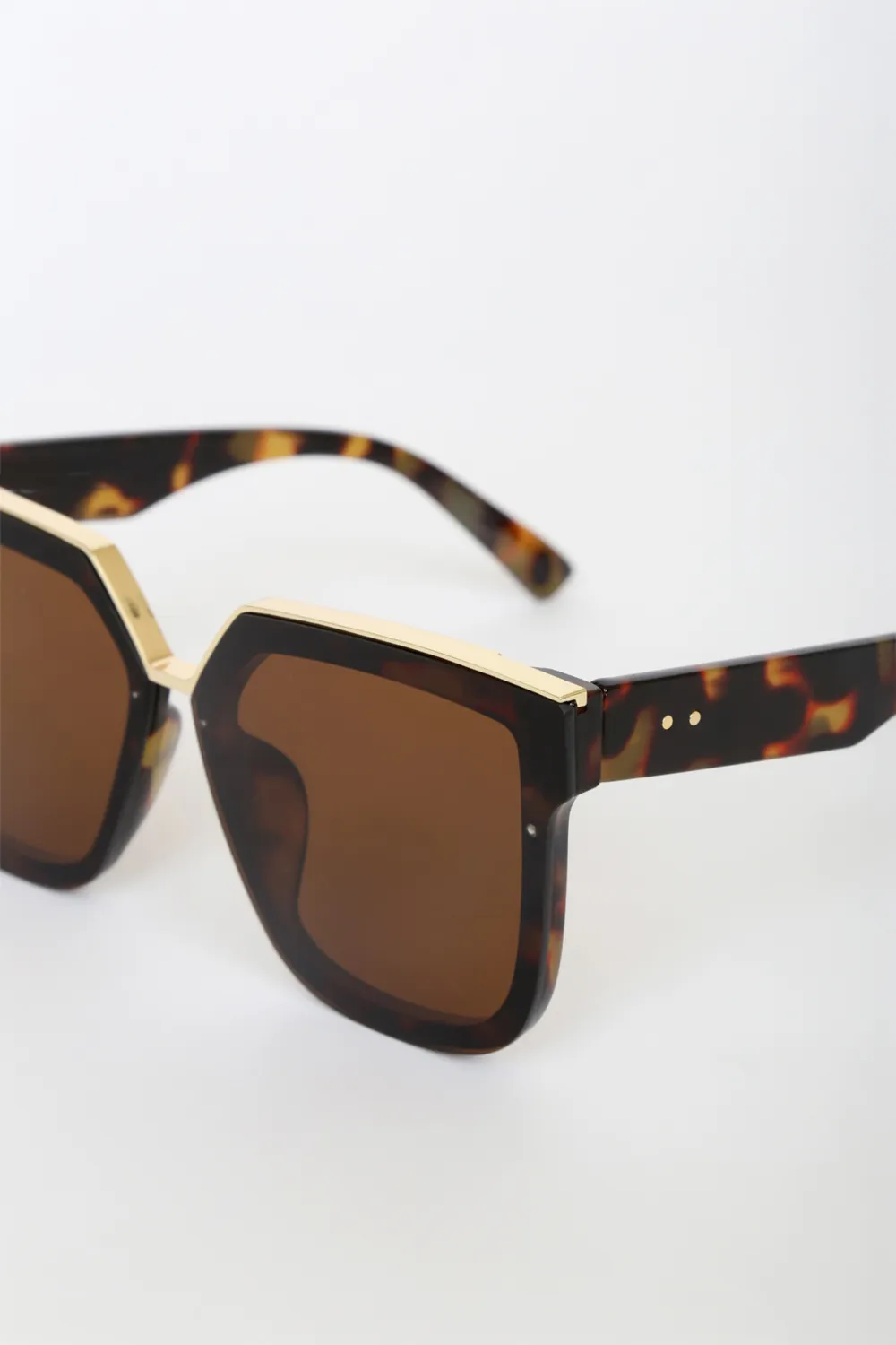 Casual Cool Brown Square Women's Sunglasses