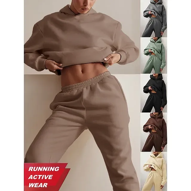 Women's Tracksuit Sweatsuit 2 Piece Street Winter Long Sleeve Fleece Thermal