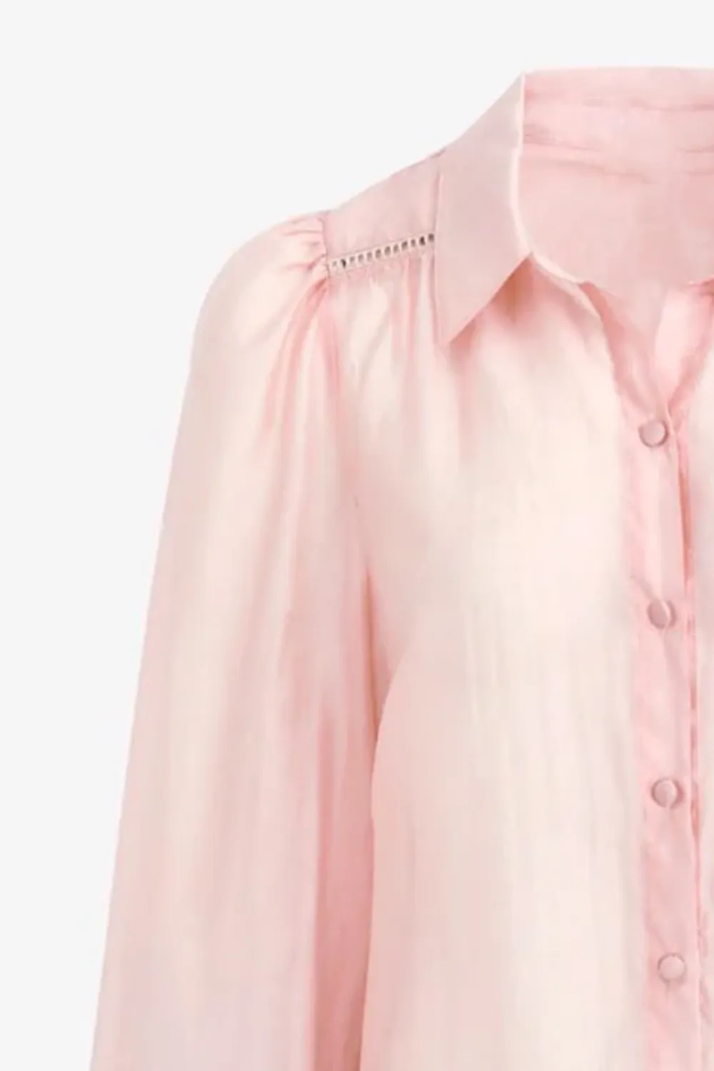 Blush Lace Detail Sheer Shirt