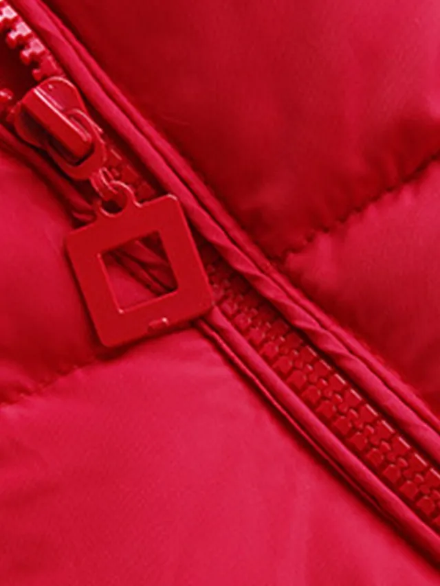 Women's Parka Long Puffer Jacket with Fur Collar Hood Winter Coat Windproof Warm Casual Jacket Long Sleeve Plain with Pockets Full Zip Black Pink Red