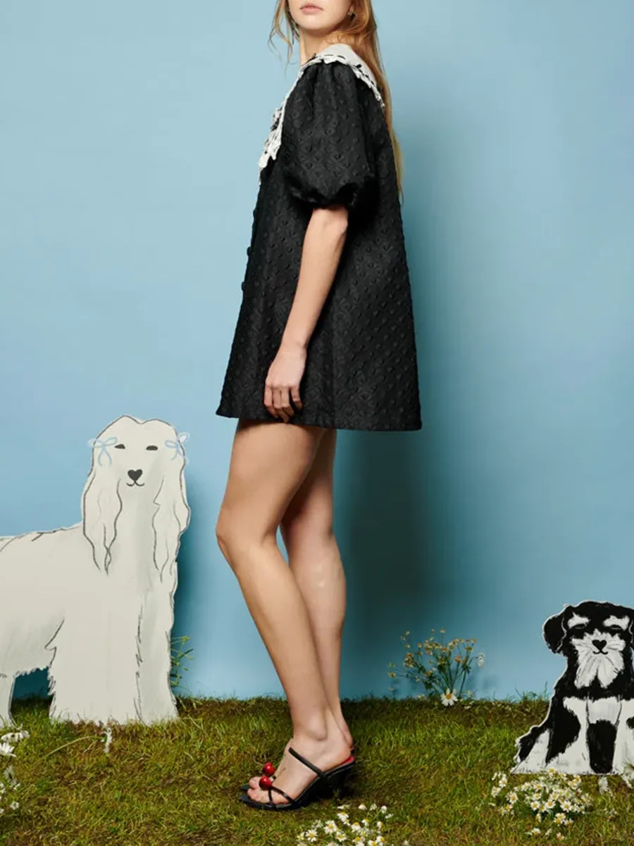 Soft Bow Collar Dress