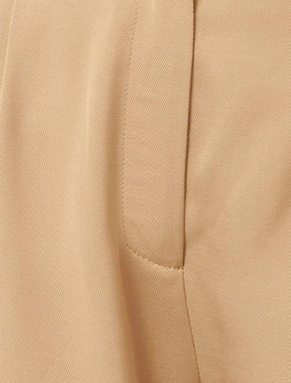 Pleated Wide-Leg Pants