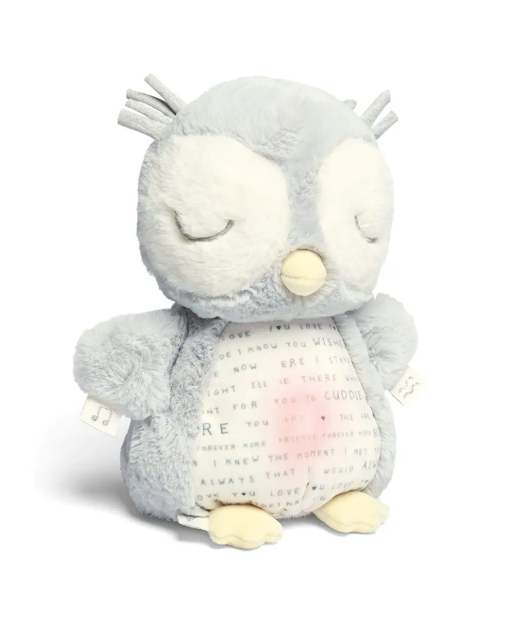 Light & Sounds Sensory Toy - Owlbie