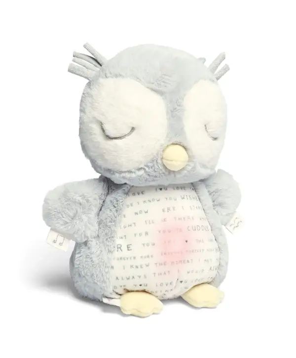 Light & Sounds Sensory Toy - Owlbie
