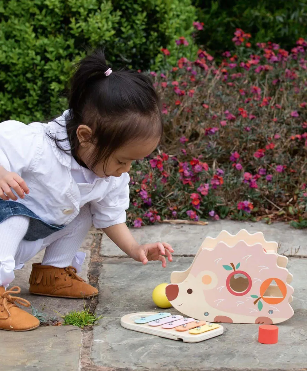 Classic World Hedgehog Wooden Hammer Toy