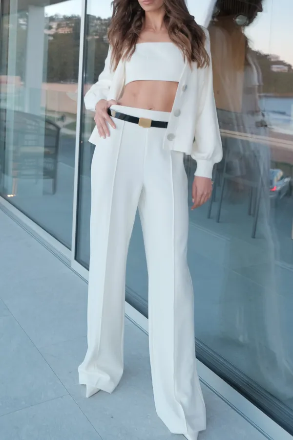 Slight Stretch Pleated Wide Leg Pants