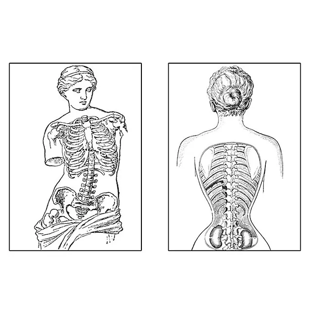 Body Shaper Sweat Waist Trainer Corset Sweat Shapewear Sports Spandex Neoprene Yoga Gym Workout Exercise & Fitness Tummy Control Slimming Weight Loss For Women