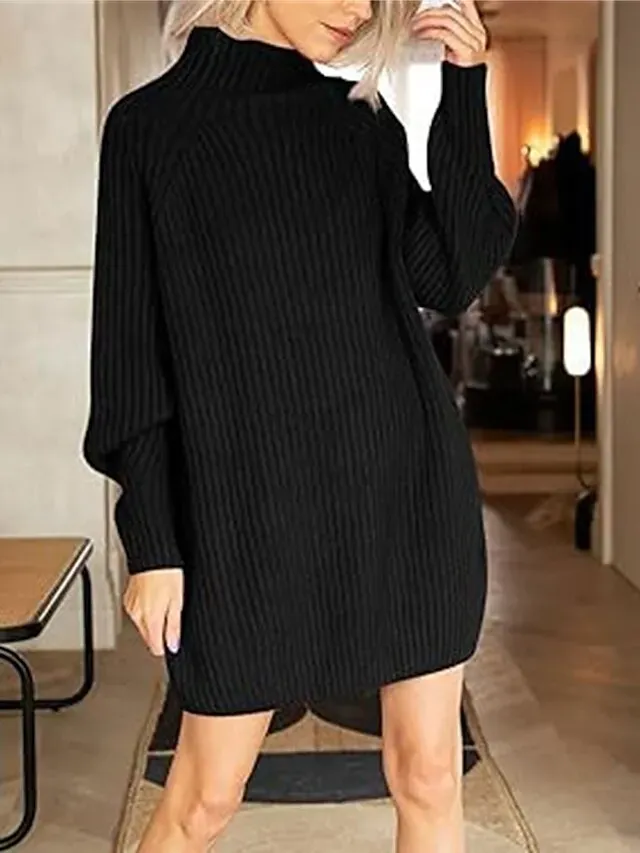 Women's Sweater Dress Jumper Dress Winter Dress Mini Dress Warm Fashion Casual Plain Outdoor Daily Vacation Going out Turtleneck Long Sleeve 2023 Loose Fit Black White Blue S M L XL