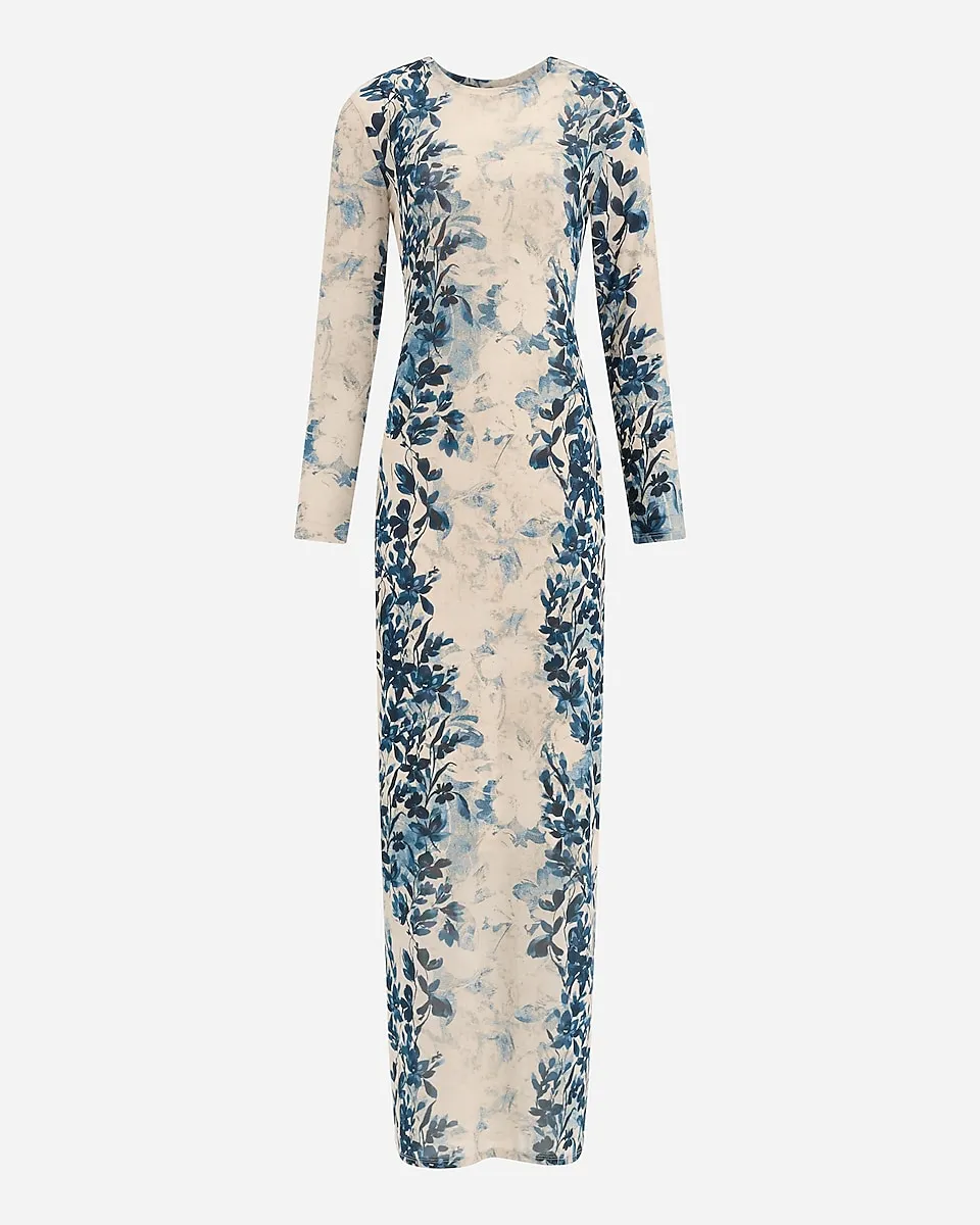 Printed Mesh Crew Neck Long Sleeve Maxi Dress