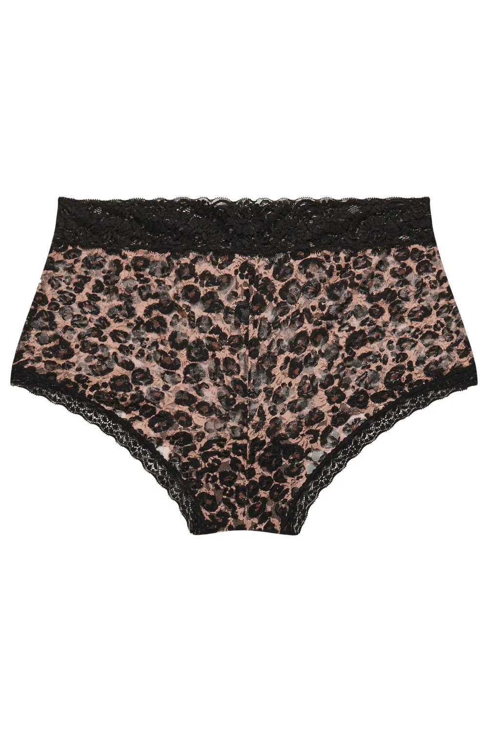 YOURS 5 PACK Curve Black Cotton High Waisted Full Briefs