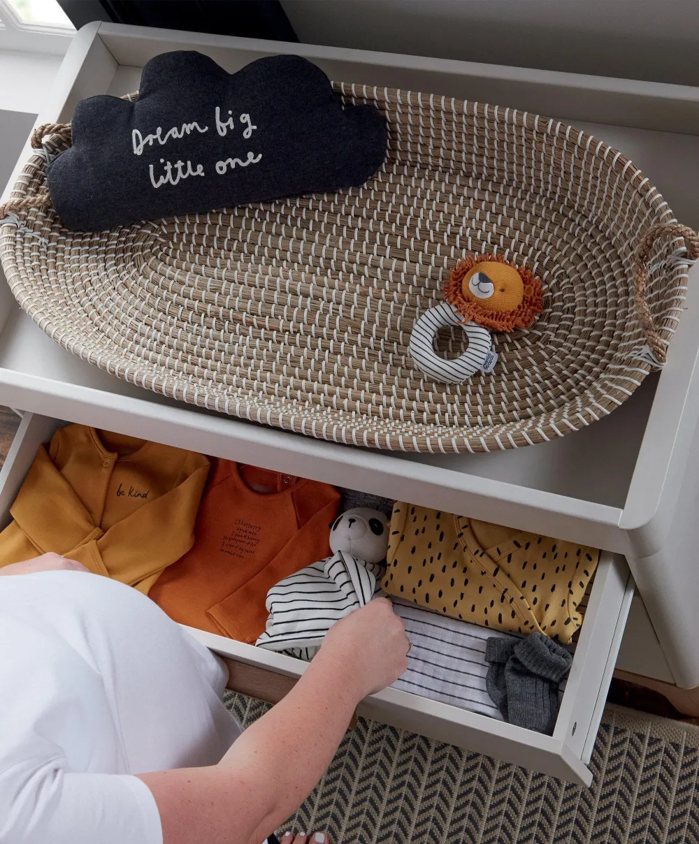 Grabber Educational Toy - Lion