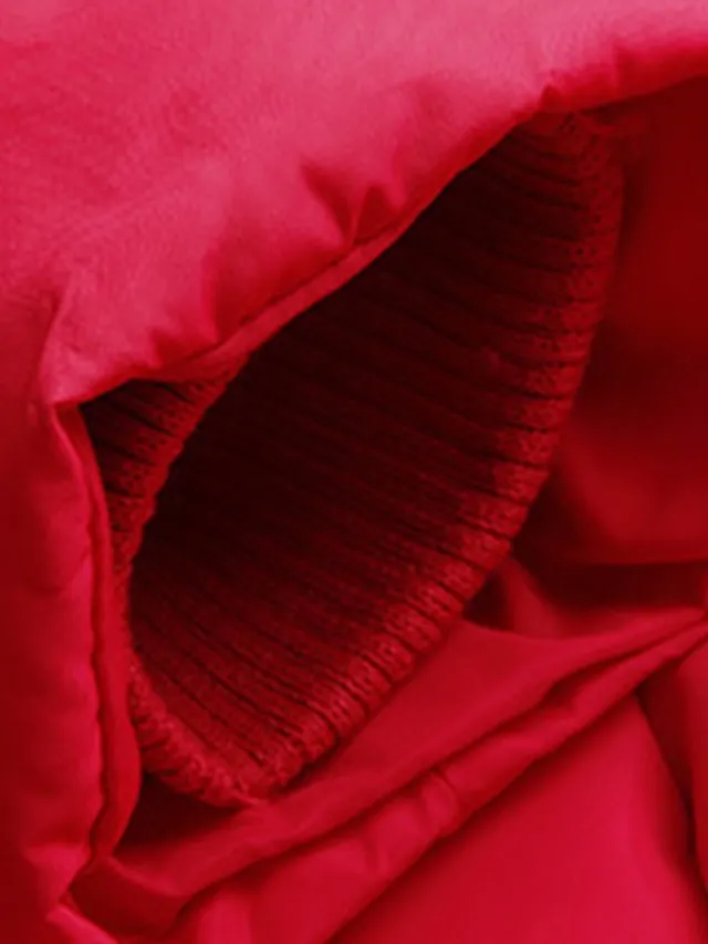 Women's Parka Long Puffer Jacket with Fur Collar Hood Winter Coat Windproof Warm Casual Jacket Long Sleeve Plain with Pockets Full Zip Black Pink Red