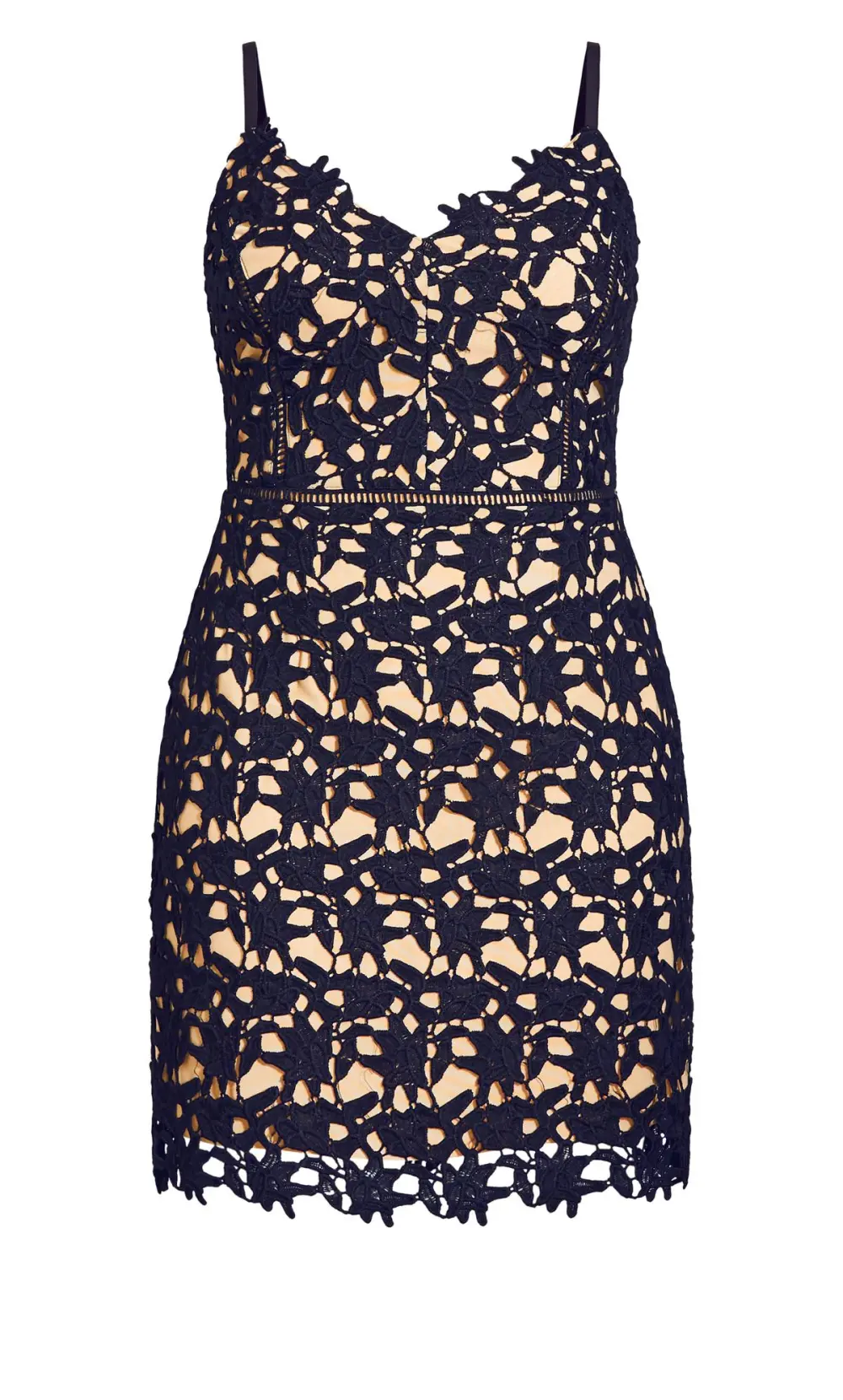 Evans Navy & Nude Lace Bodycon Dress
