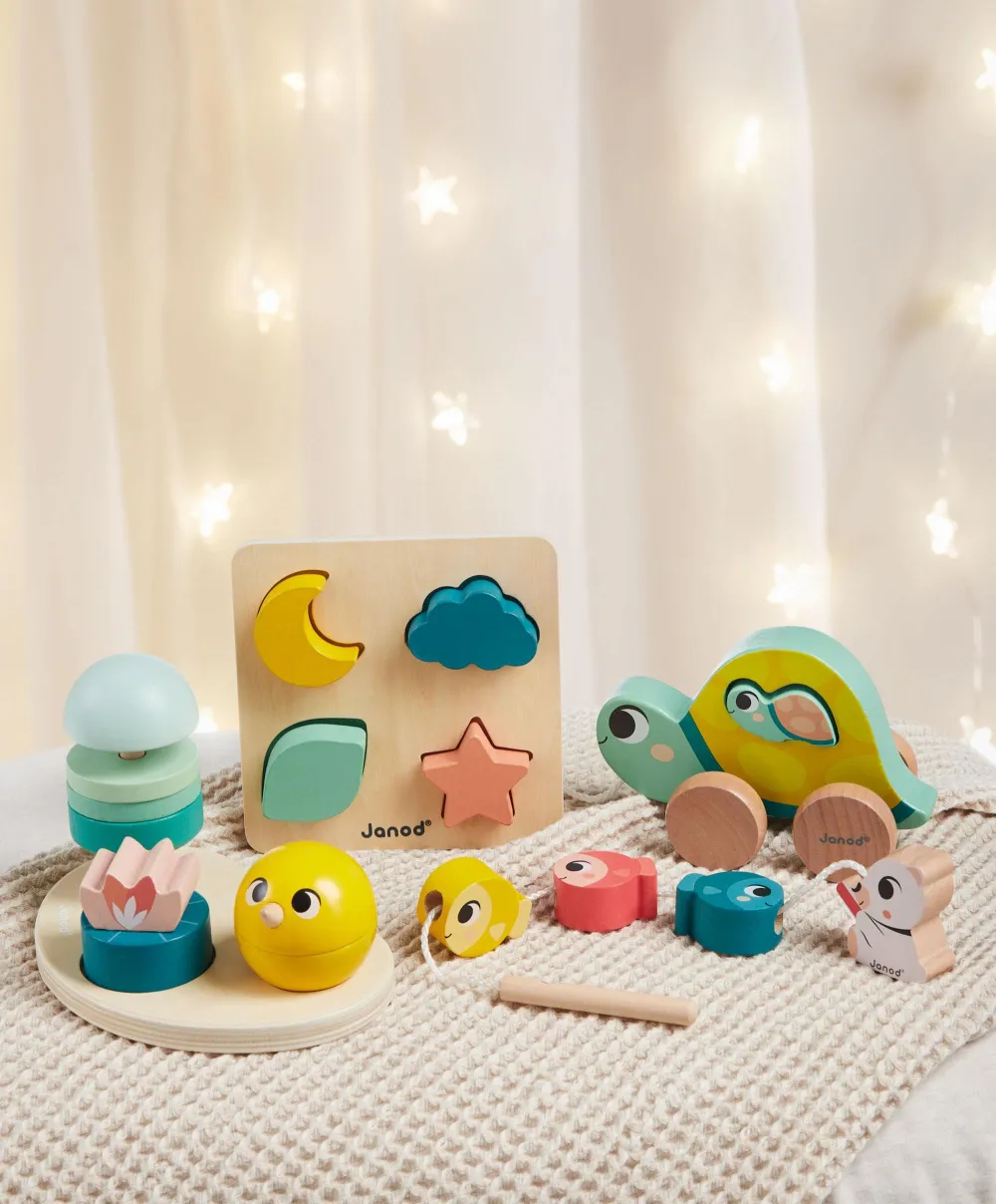 Janod Motor Skills Box - 18 months +