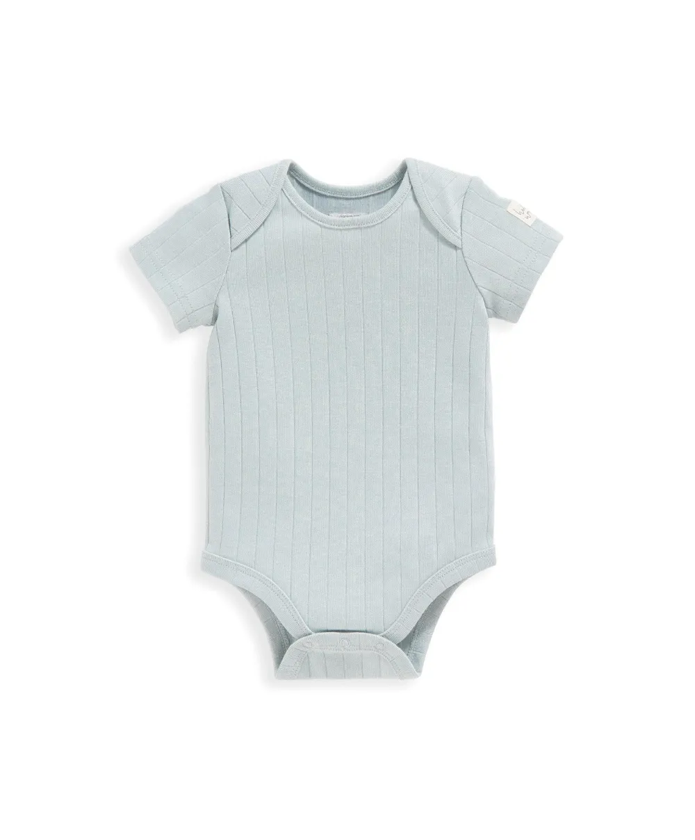 Turtle Set - 5 Piece Set