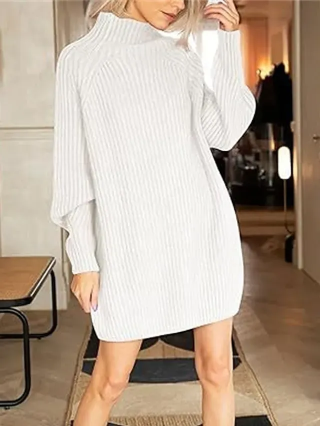 Women's Sweater Dress Jumper Dress Winter Dress Mini Dress Warm Fashion Casual Plain Outdoor Daily Vacation Going out Turtleneck Long Sleeve 2023 Loose Fit Black White Blue S M L XL