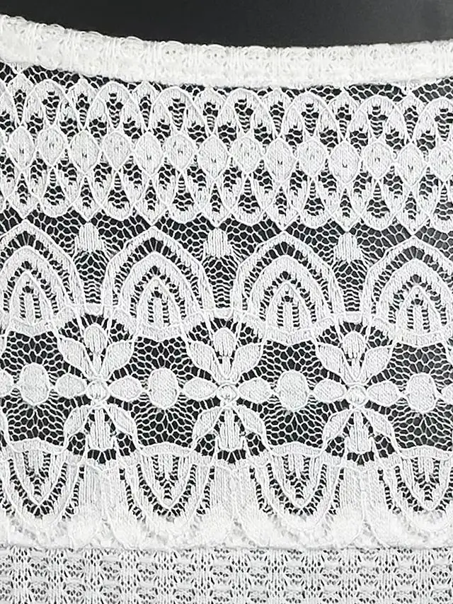 Women's Tank Top White Blue Plain Lace Sleeveless Casual Basic V Neck Regular S