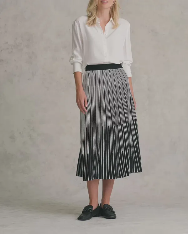 Gradual Stripe Skirt