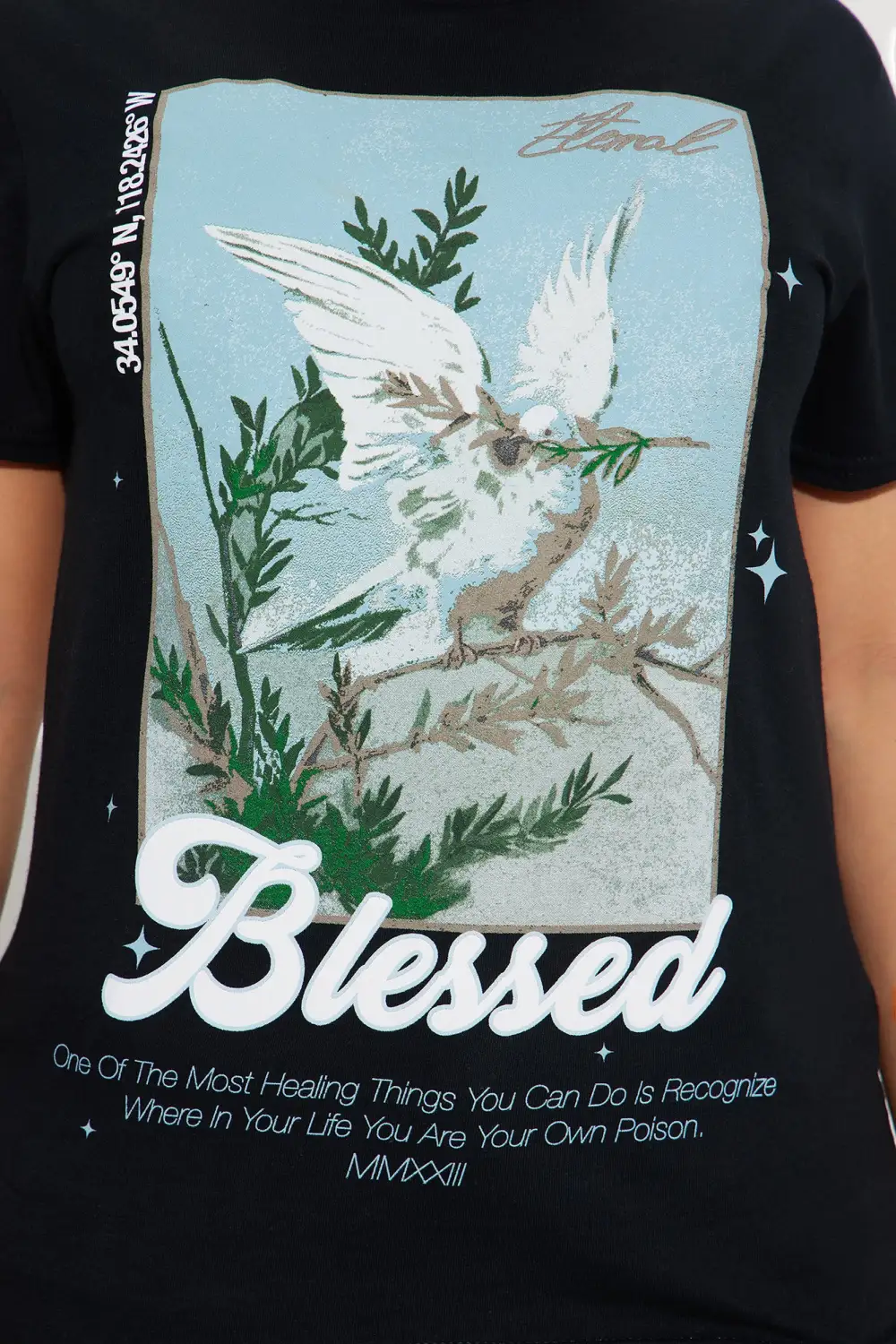 Lifetime Of Blessings Graphic Tee - Black