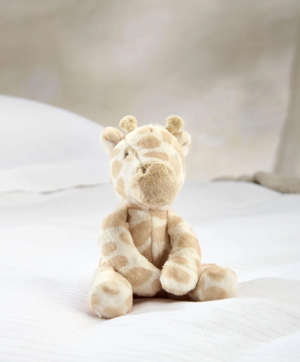 Born to be Wild Baby Gift Box - Small