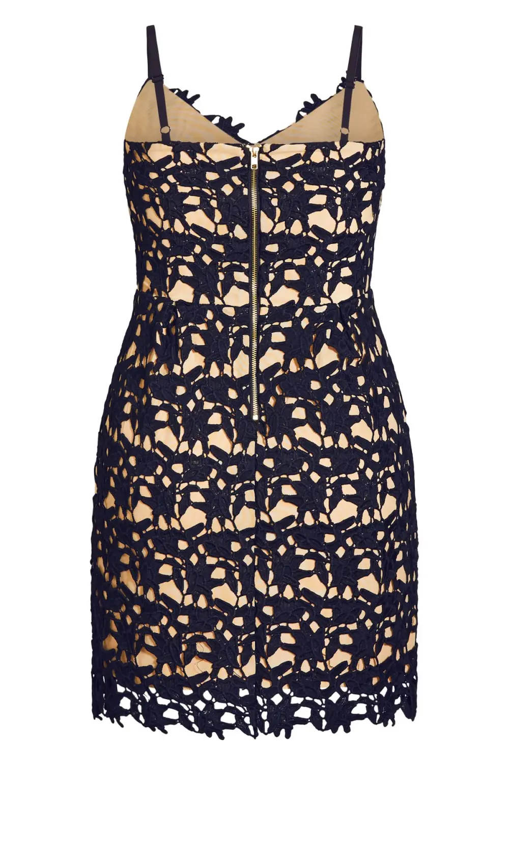Evans Navy & Nude Lace Bodycon Dress