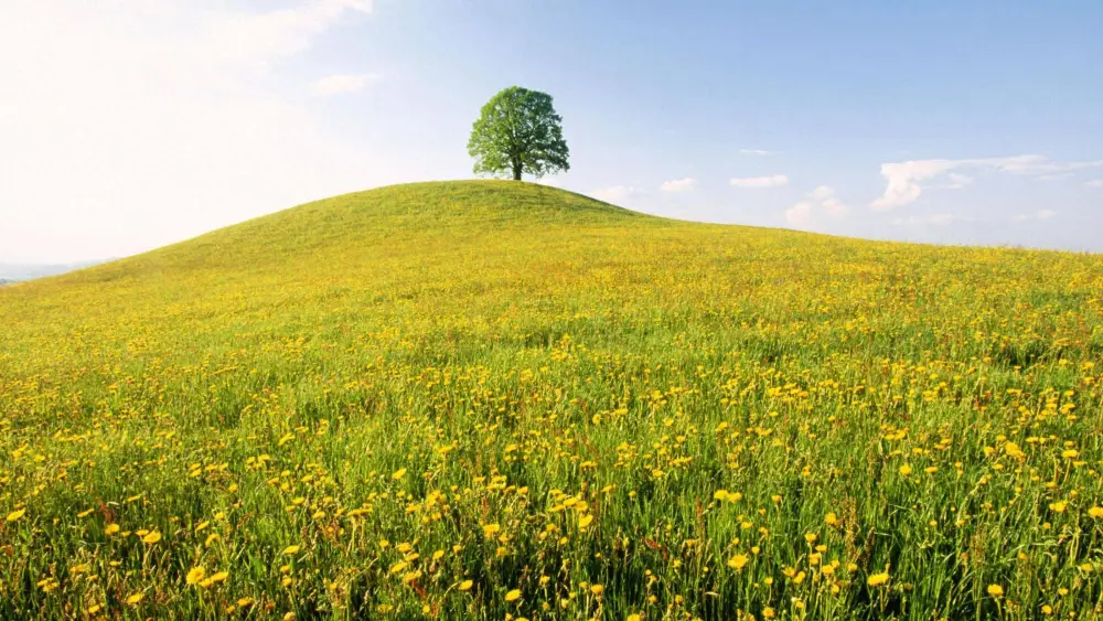 变更name-Short Sleeve Daily Going out Weekend Streetwear Crewneck Regular Fit Summer Spring