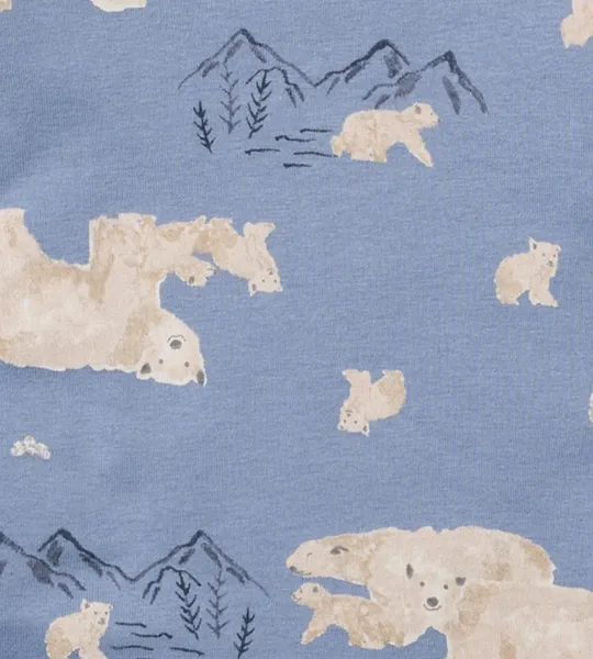 Polar Mountain Organic Cotton Boy Pajamas