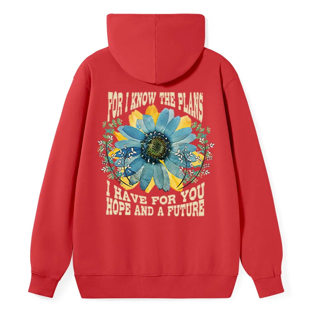 For I Know The Plans Classic Christian Hoodie