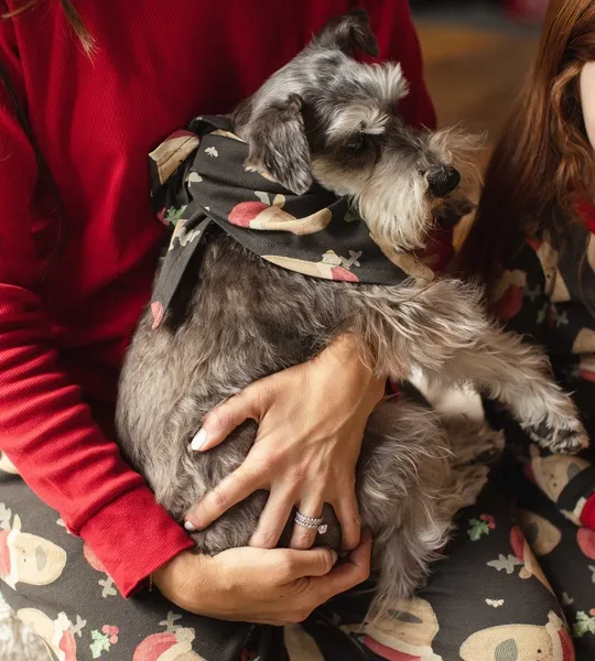 Home Sweet Home Organic Cotton Matching Family Pajamas