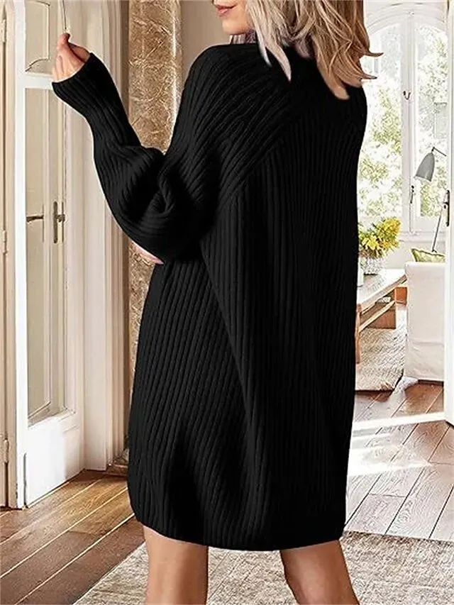 Women's Sweater Dress Jumper Dress Winter Dress Mini Dress Warm Fashion Casual Plain Outdoor Daily Vacation Going out Turtleneck Long Sleeve 2023 Loose Fit Black White Blue S M L XL