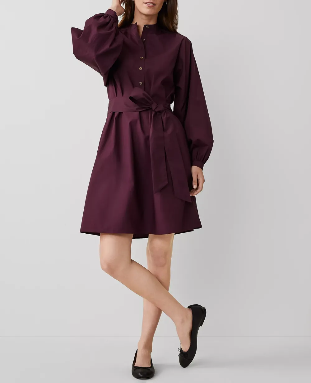 Cotton Stand Collar Shift Dress