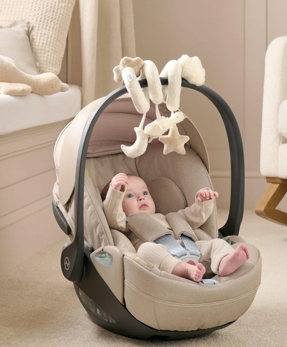 Welcome to the World Duckling Spiral Activity Toy