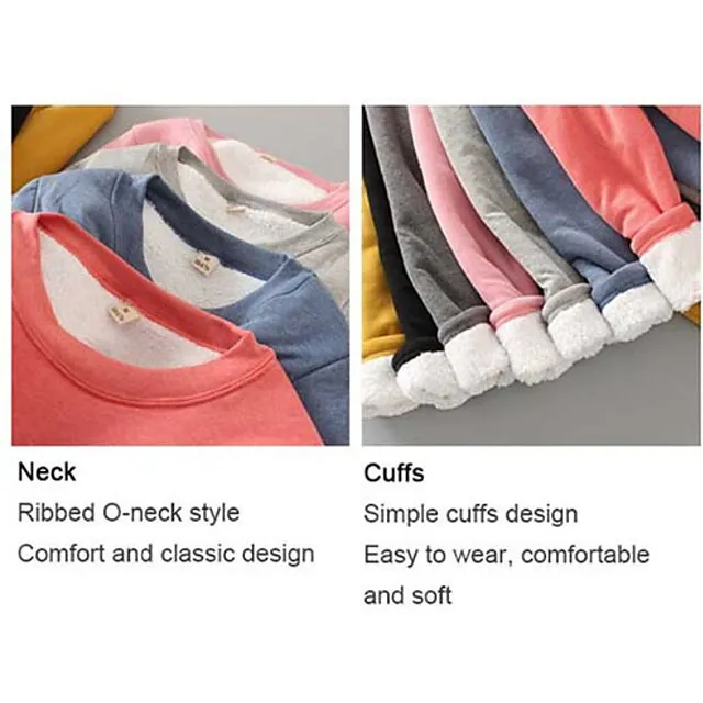 Women's Casual Dress Sweatshirt Dress Winter Dress Mini Dress Teddy Fleece Home Daily Going out Basic Casual Crew Neck Long Sleeve Regular Fit Wine Red Big red Black Color S M L XL XXL Size