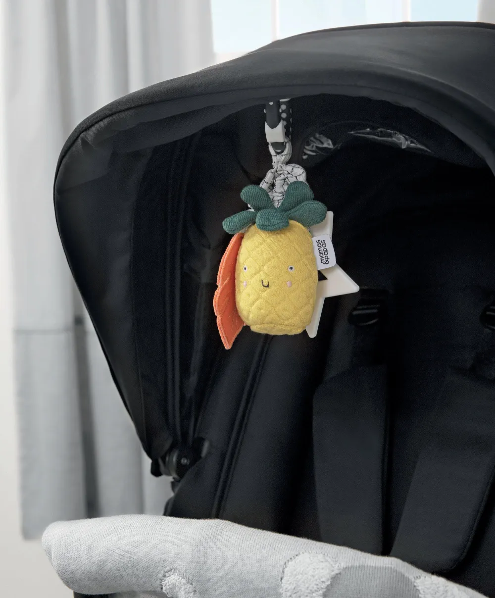 Wildly Adventures Educational Teething Toy - Linkie Pineapple