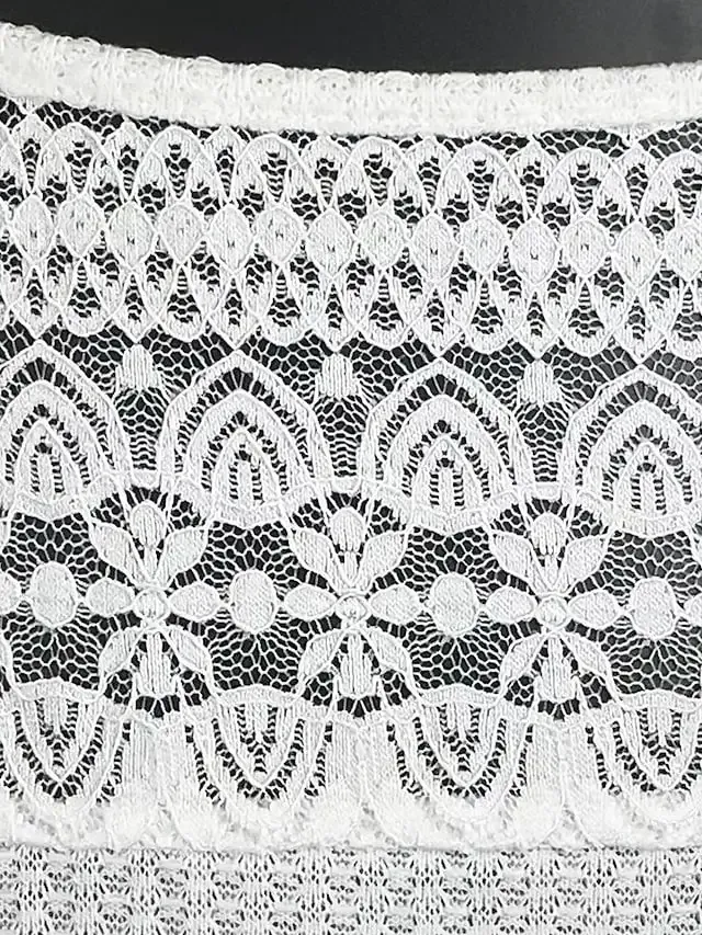 Women's Tank Top White Blue Plain Lace Sleeveless Casual Basic V Neck Regular S