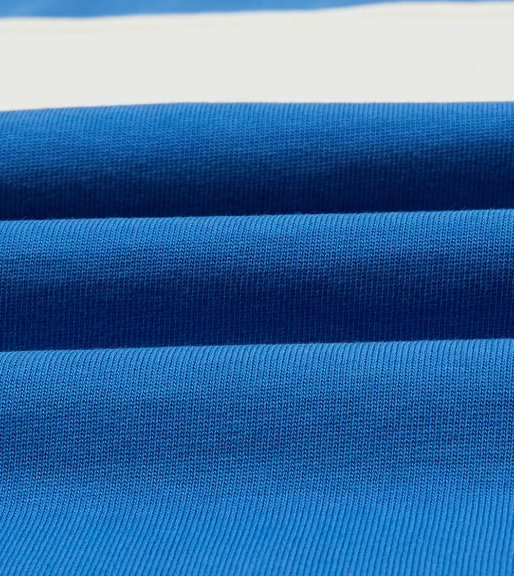 Blue and Ecru Panel Stripe Cotton Crew Neck Hiking T-Shirt Daily