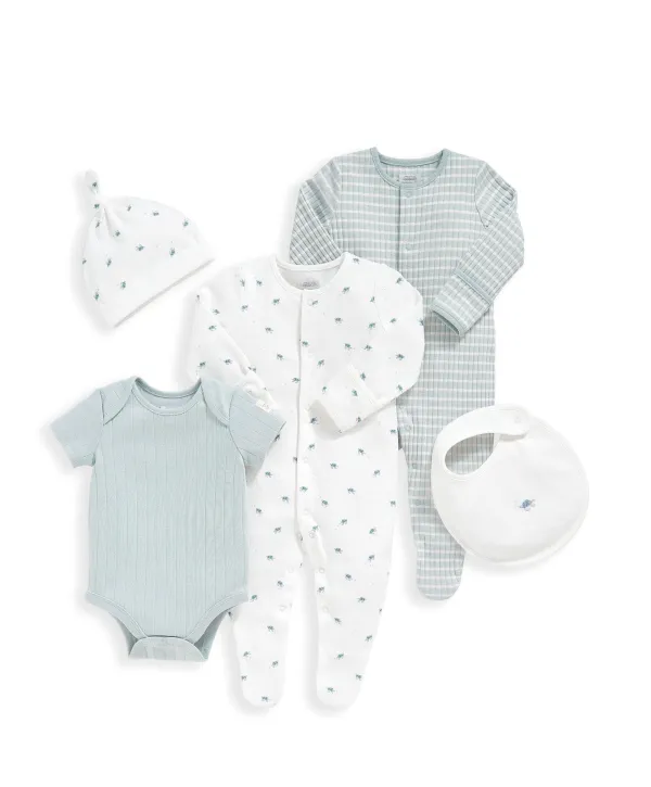 Turtle Set - 5 Piece Set