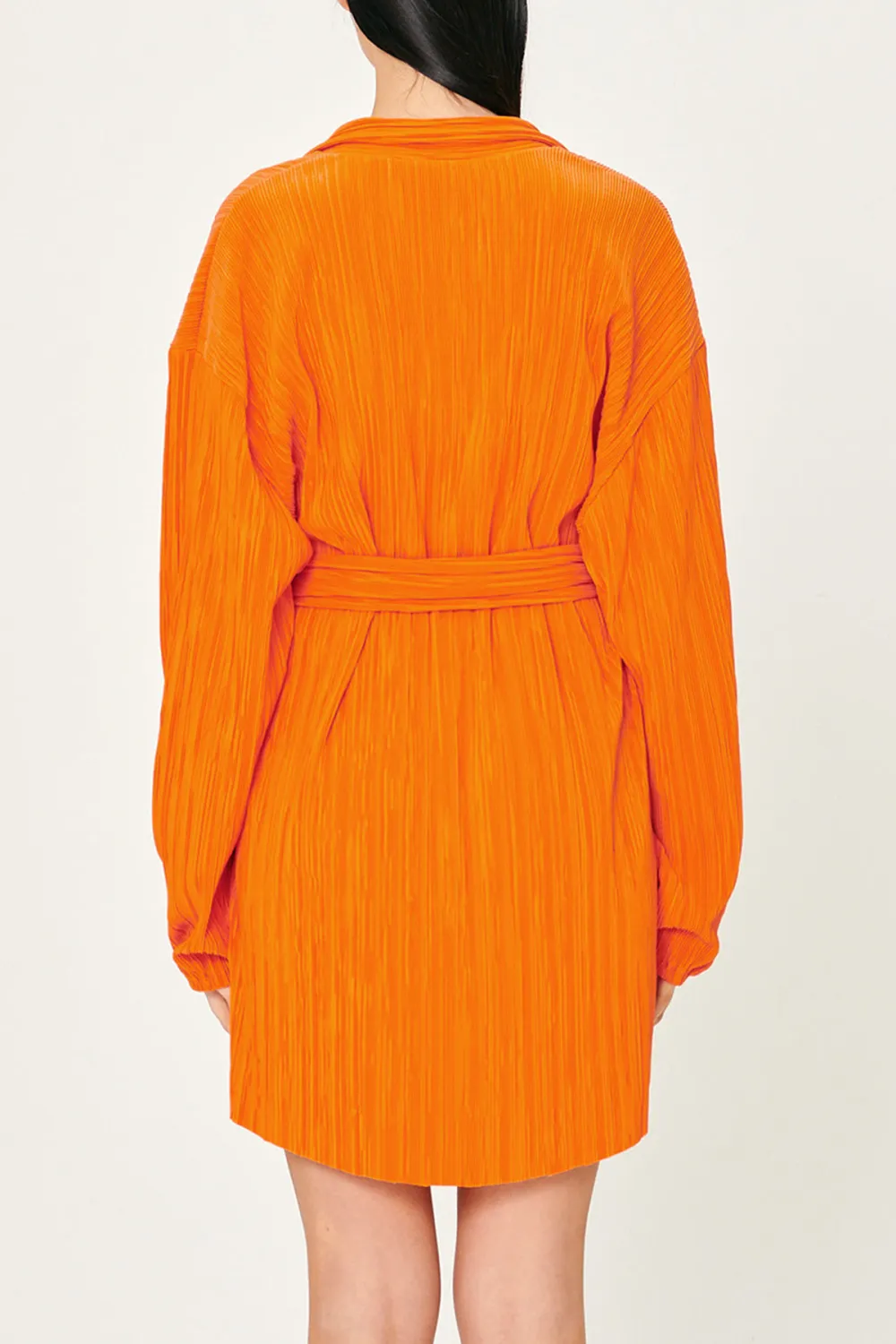 Daily Plisse Shirt Dress