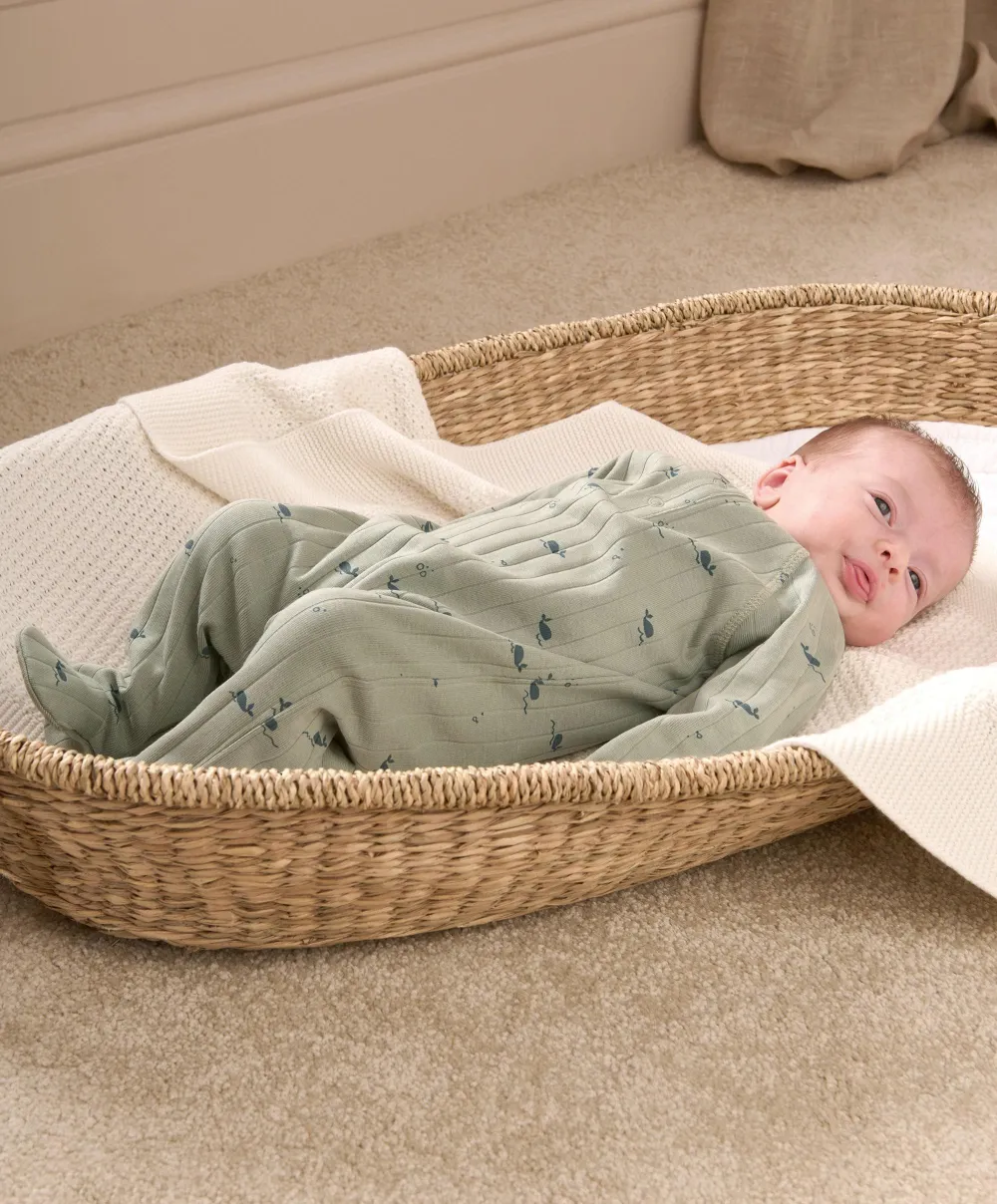 Whale Print All In One