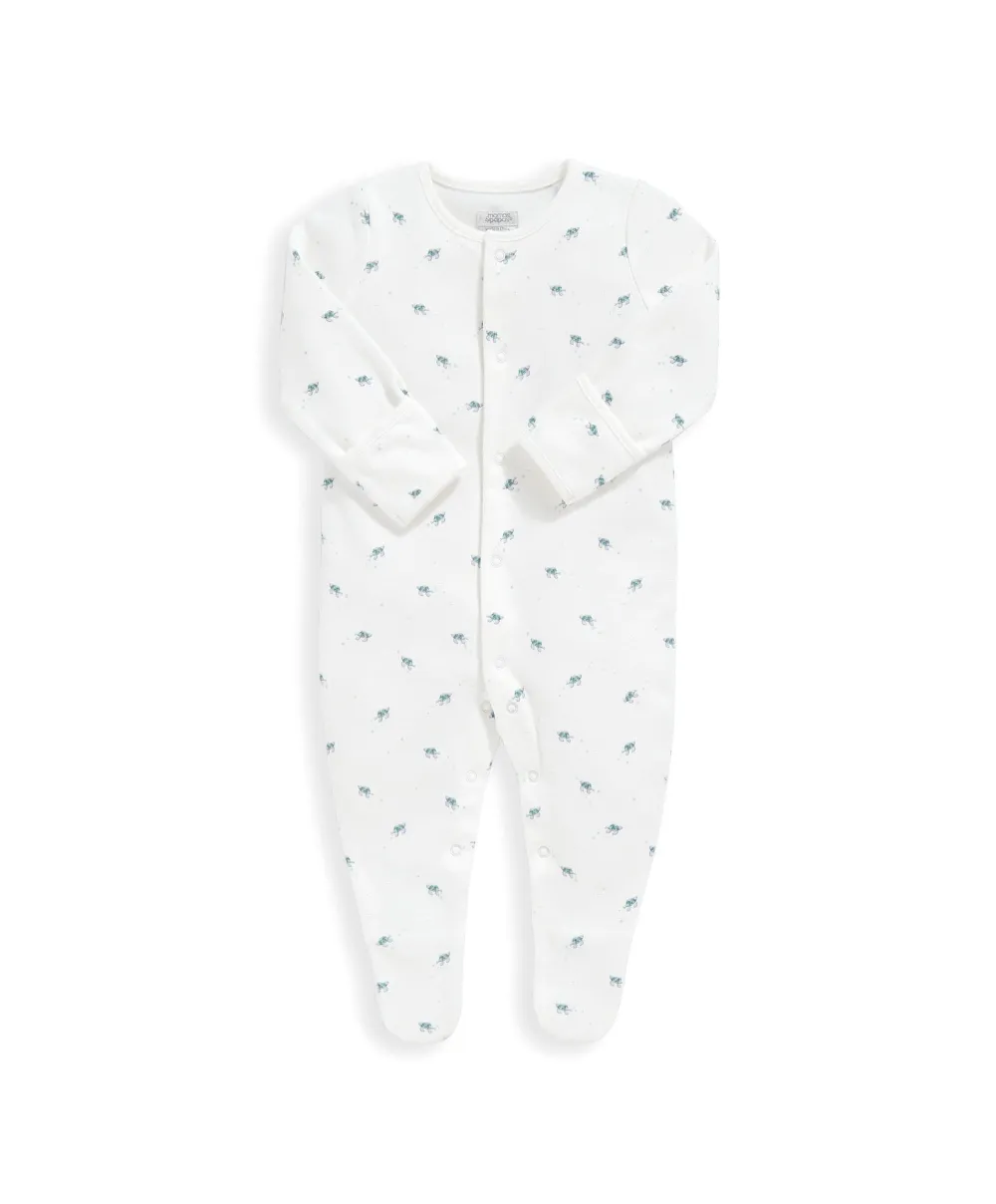 Turtle Set - 5 Piece Set